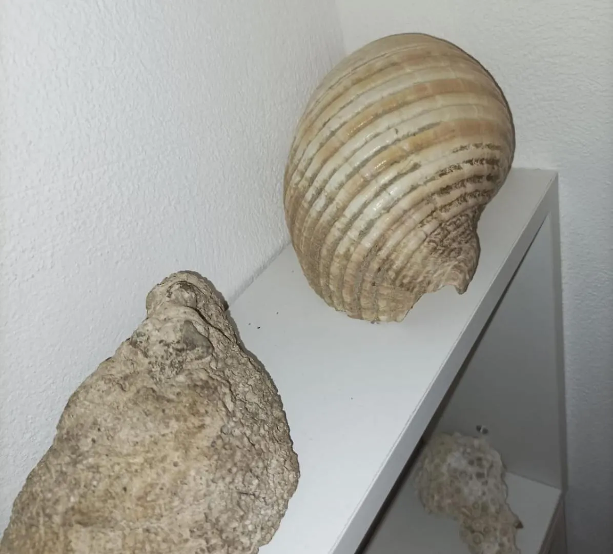 Acitrezza Casa Del Mare Apartman Aci Trezza